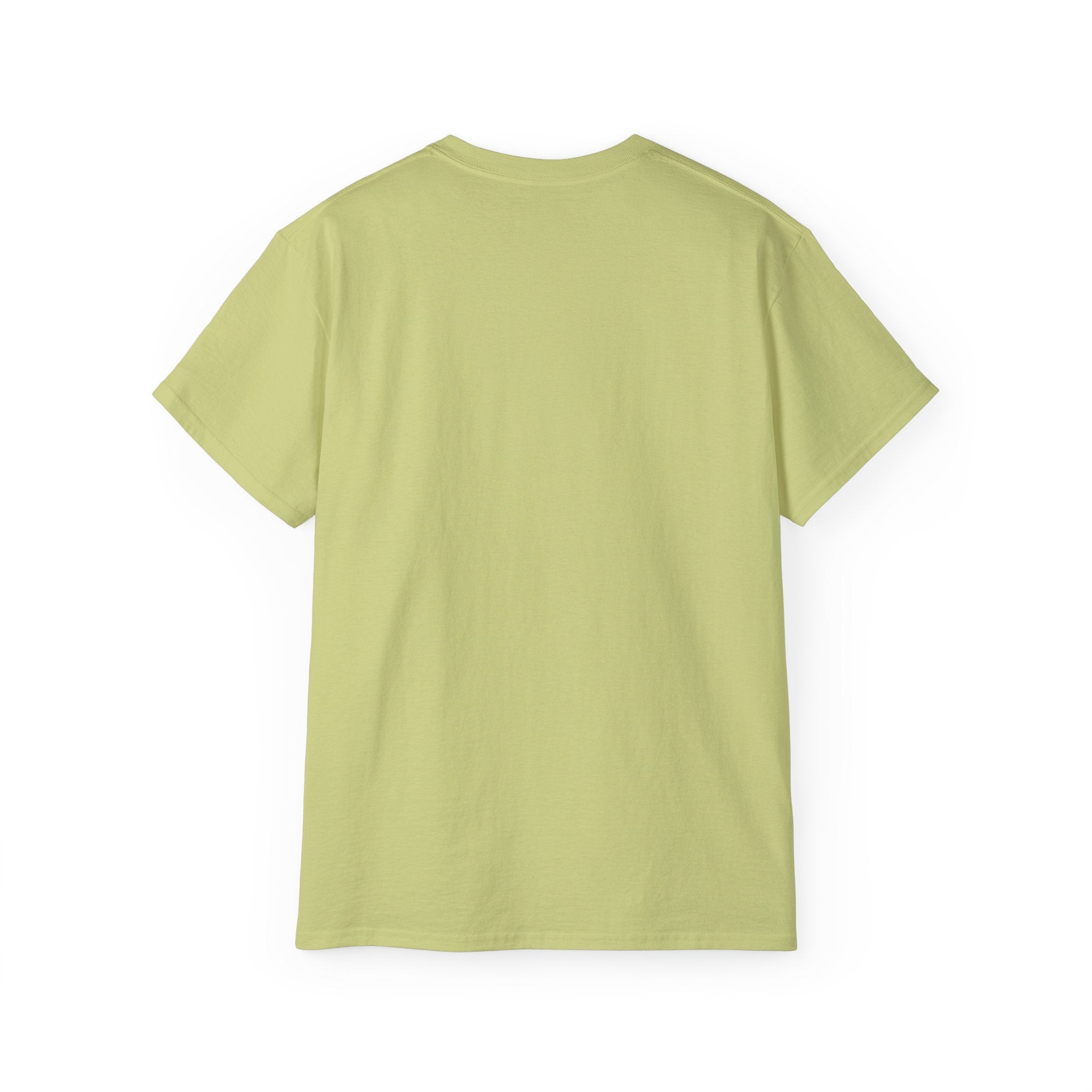 Eagle Graphic "Let’s Your Dream Fly High" Inspirational Tee