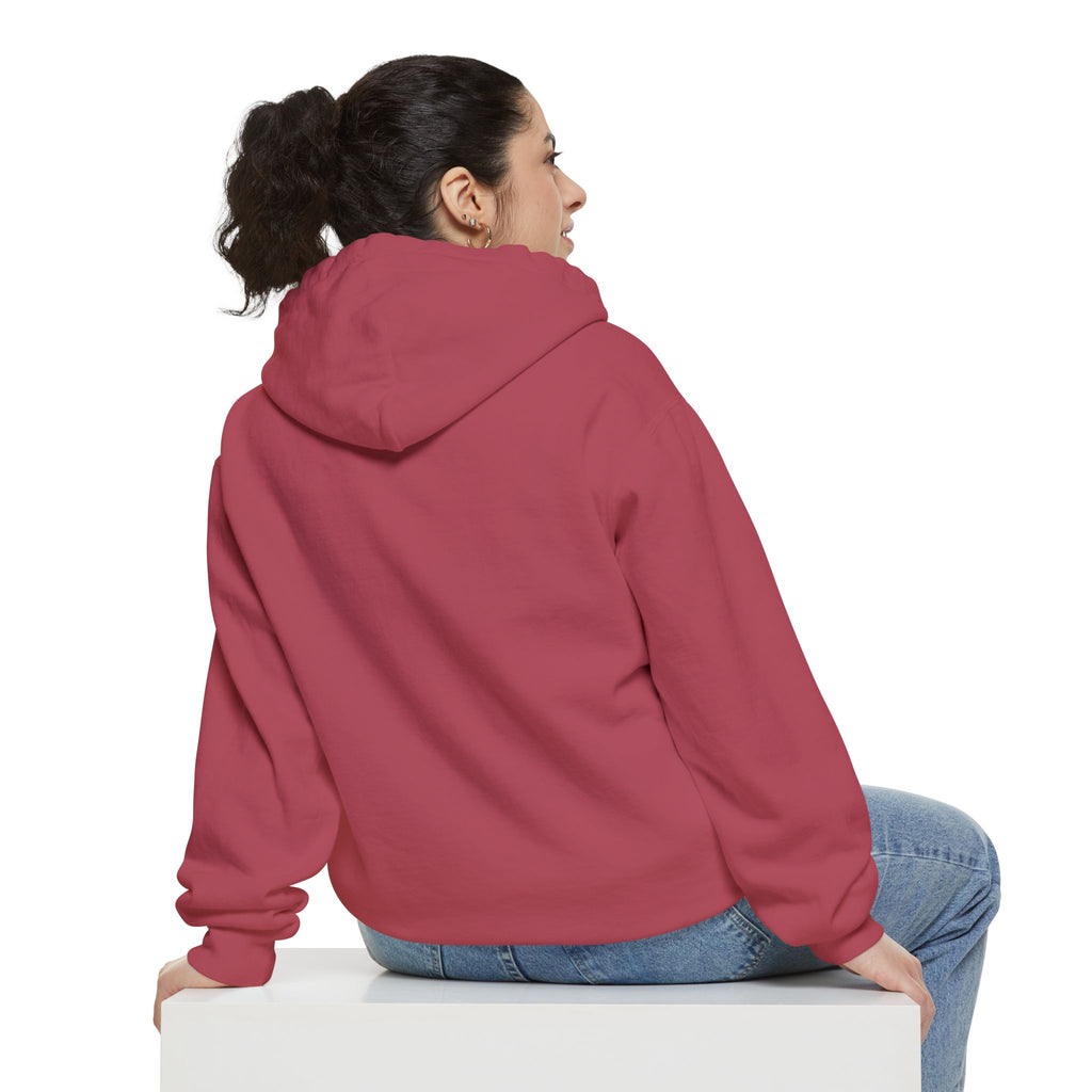 cozy soft unisex cotton Hoodie