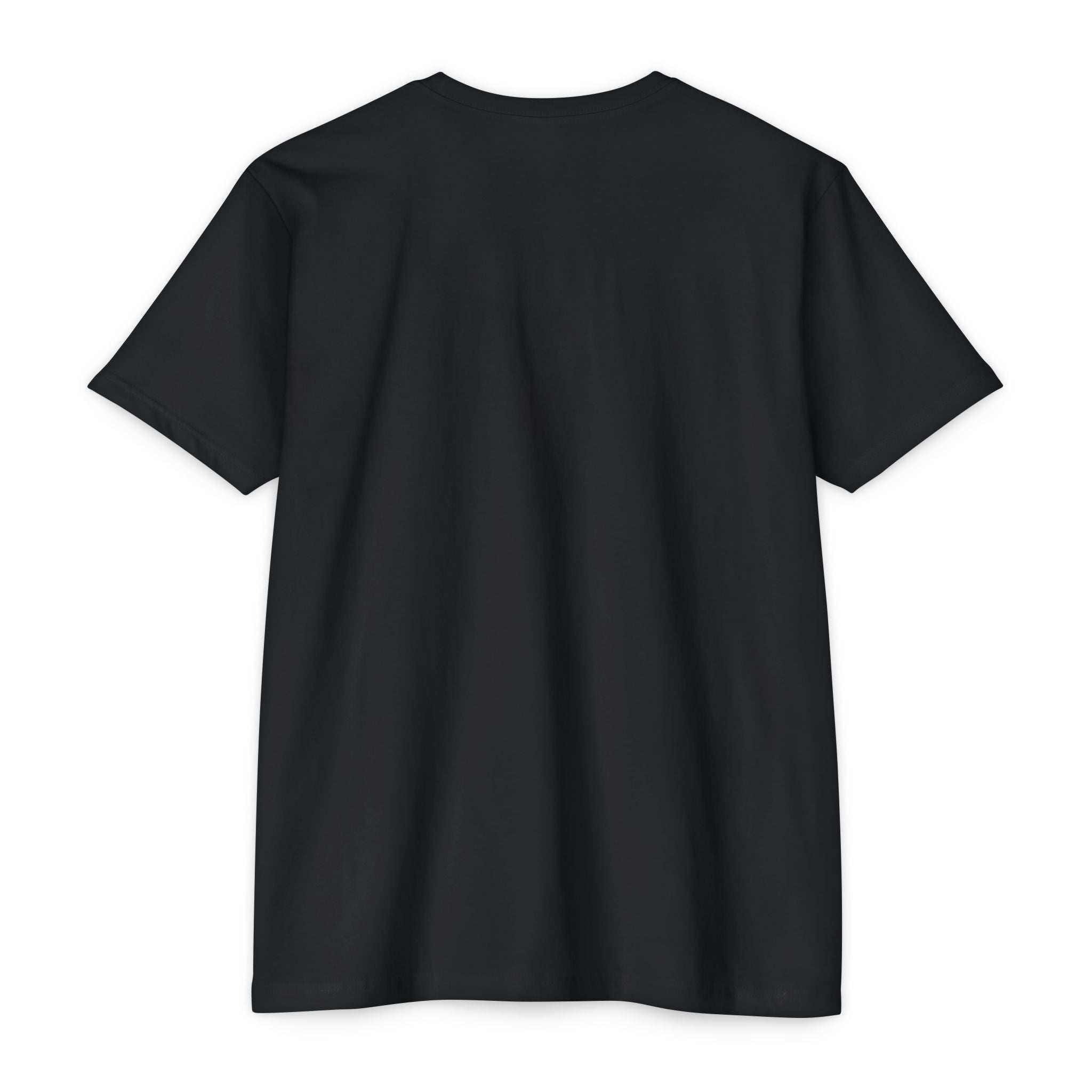 I Was Normal Two Kids Ago T-Shirt